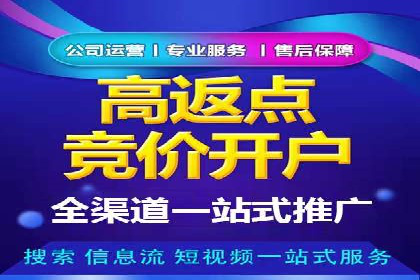 百度竞价推广的ROI优化策略：一则案例分析